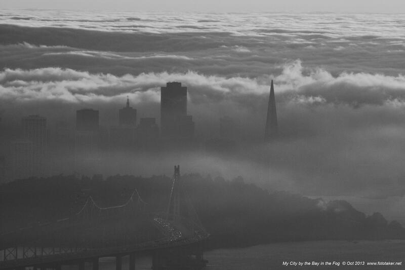 Watching Karl the fog dress San Francisco, California in grey
